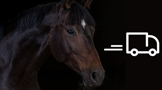 Versandkostenfrei mobil